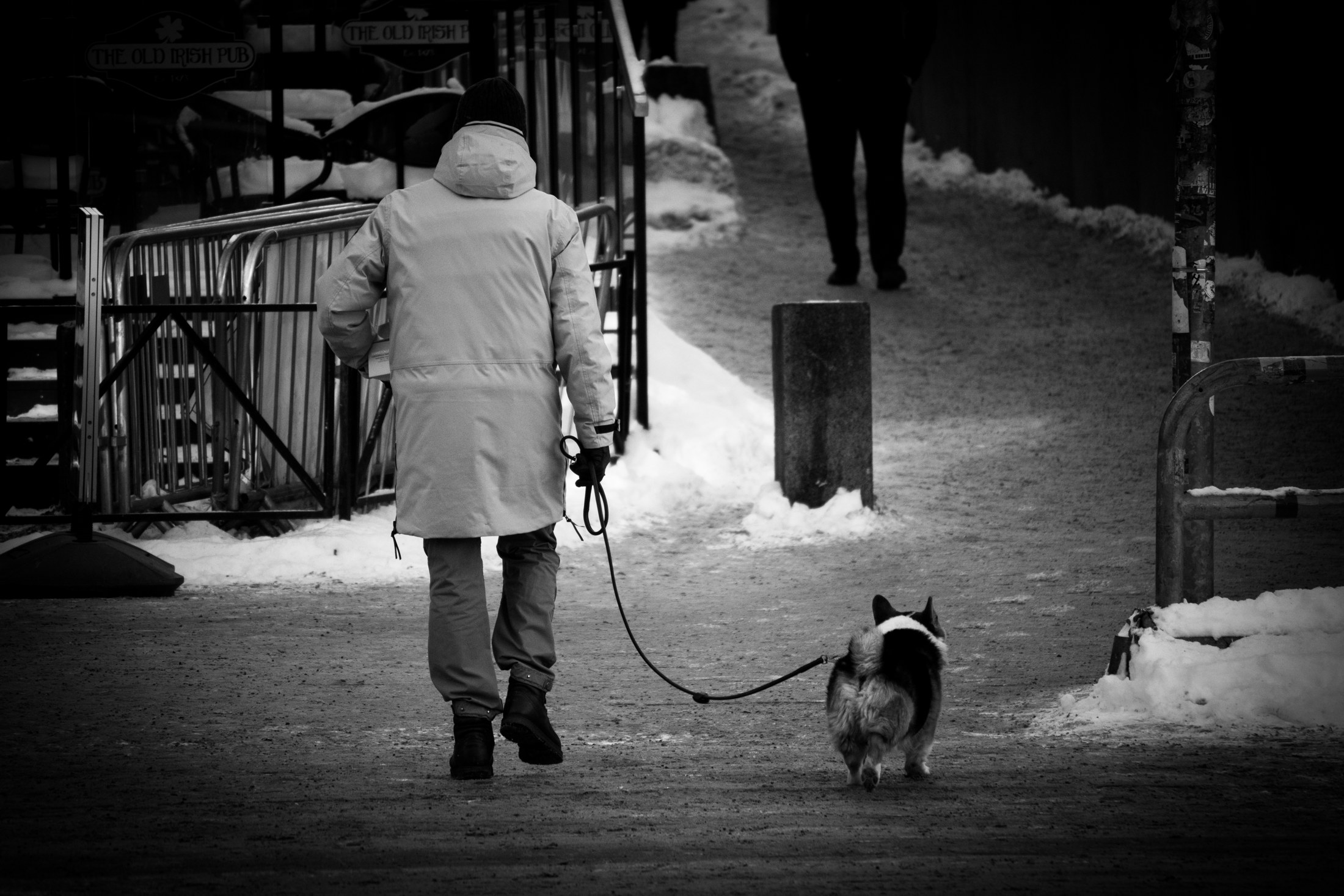 Frozen City — photograph 10