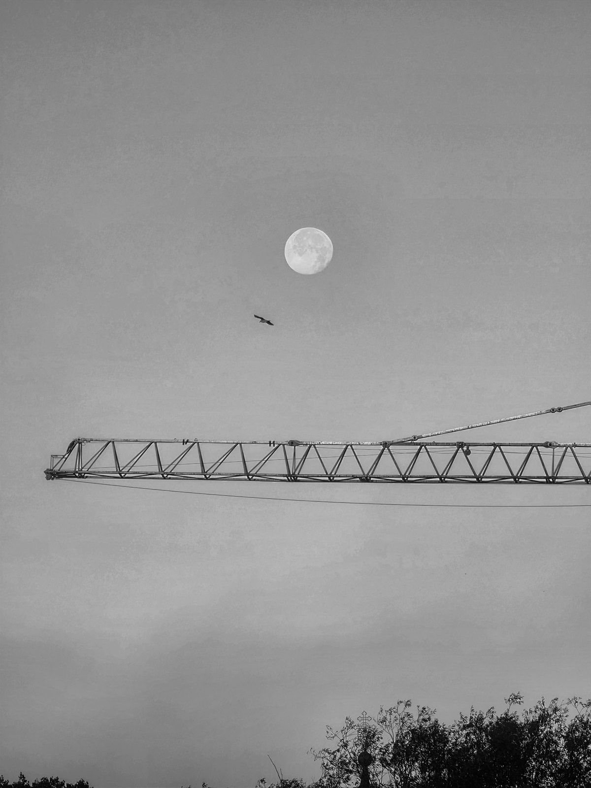 Tallinn — The Other Side of Silence, photograph 7